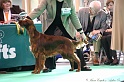 Crufts2011 102